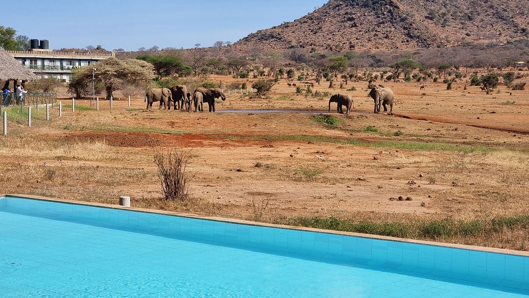 Watamu & Malindi New Year Escape